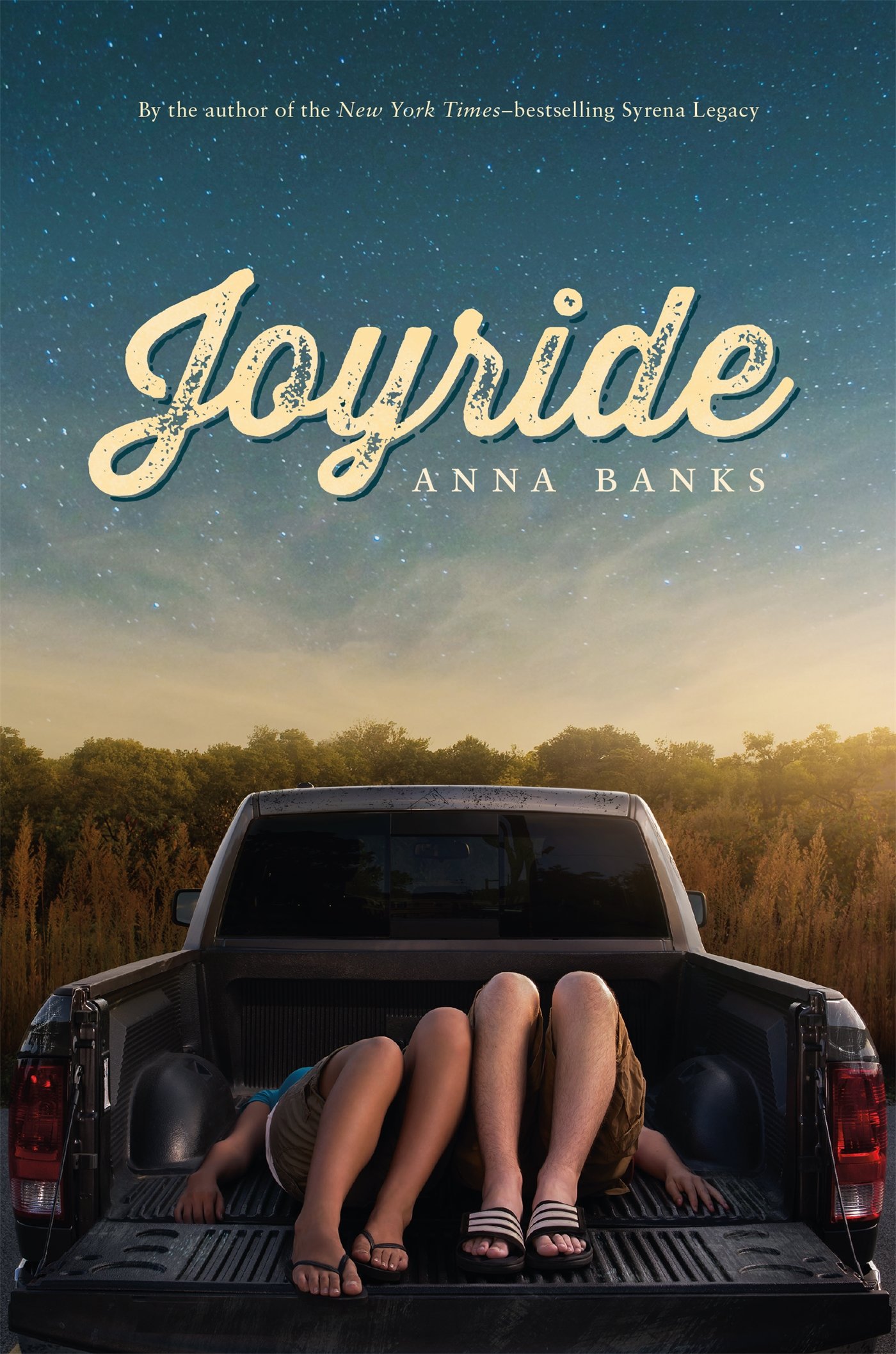 joyride book