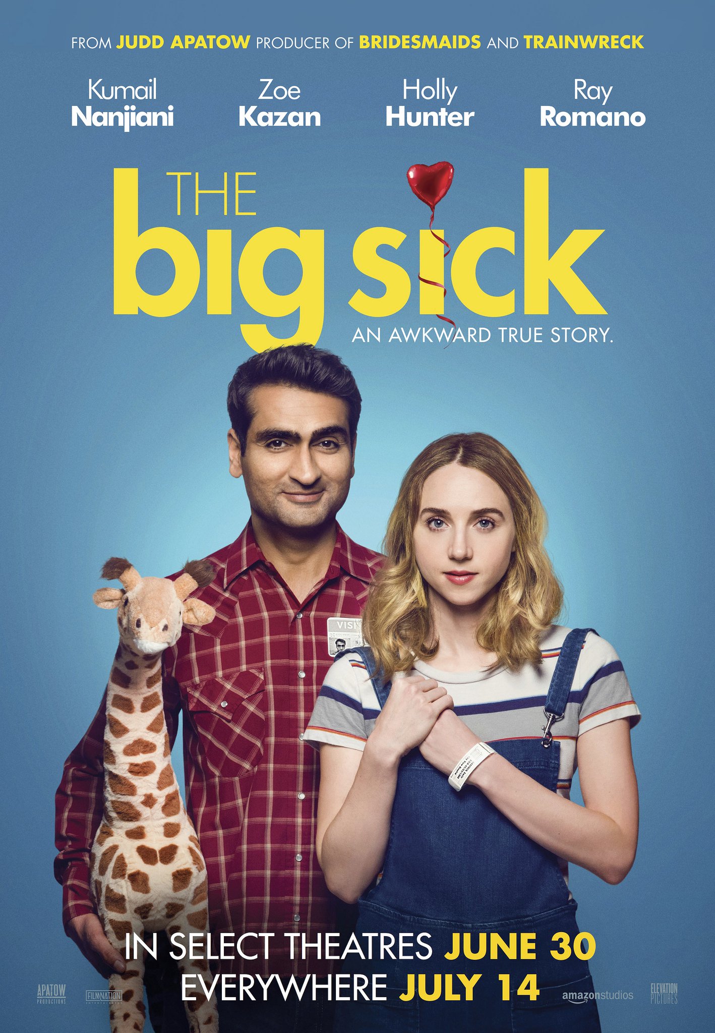 The Big Sick cover