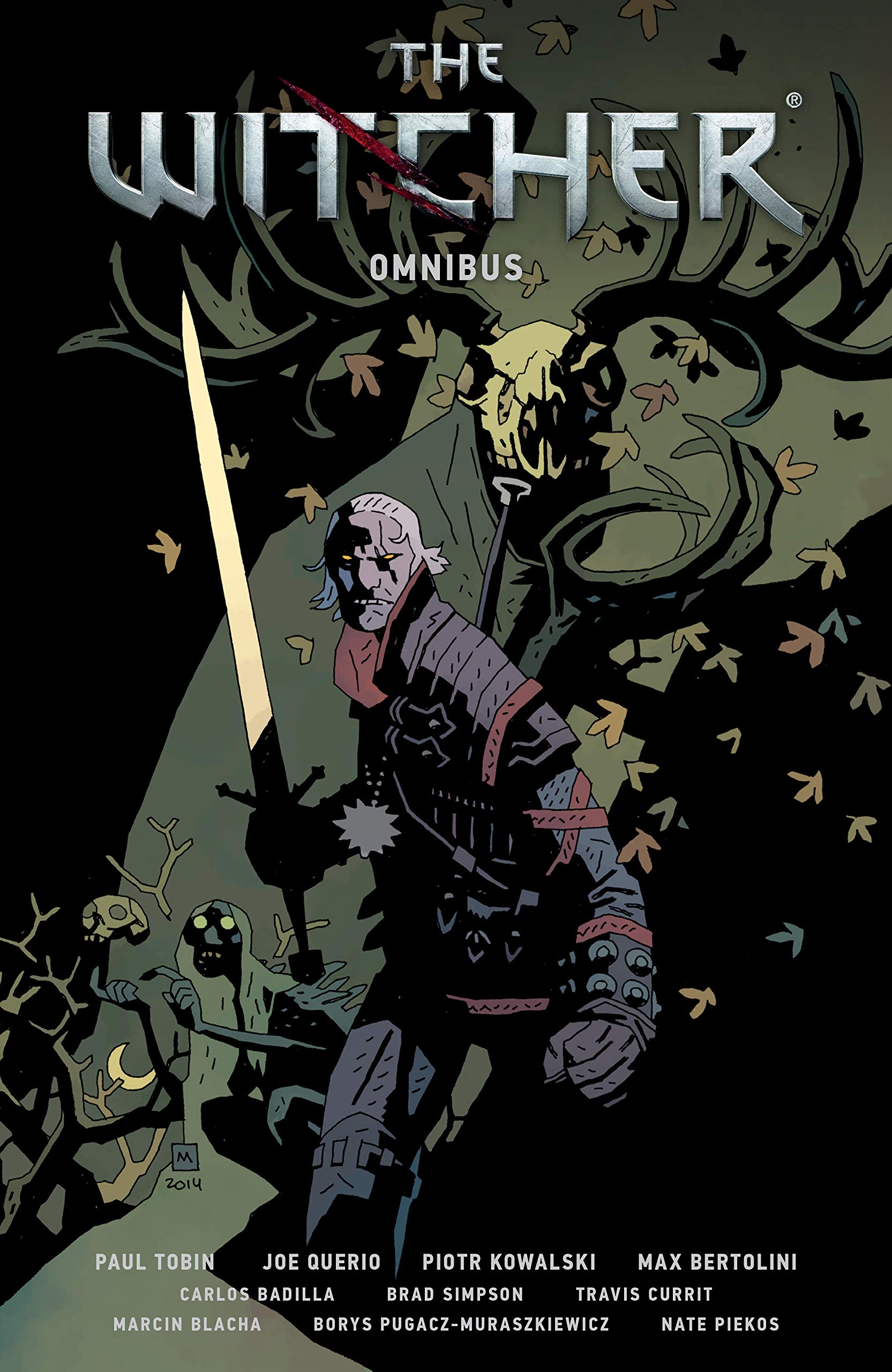 The Witcher Omnibus cover