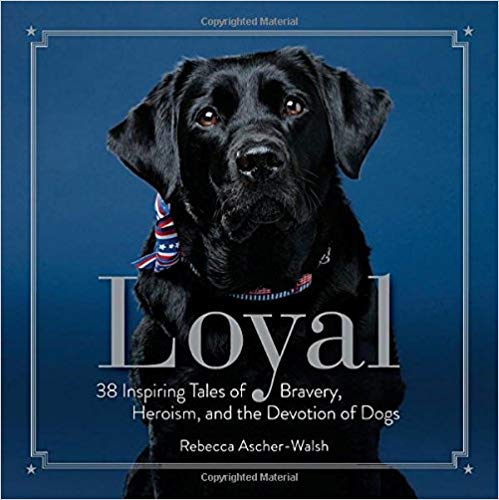 Loyal: 38 Inspiring Tales by Rebecca Ascher-Walsh cover