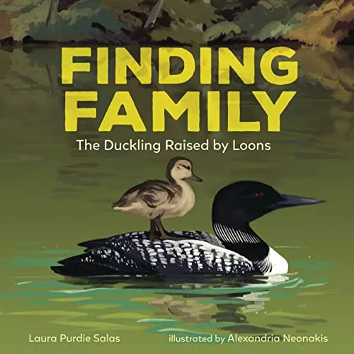Finding Family: The Duckling Raised by Loons cover