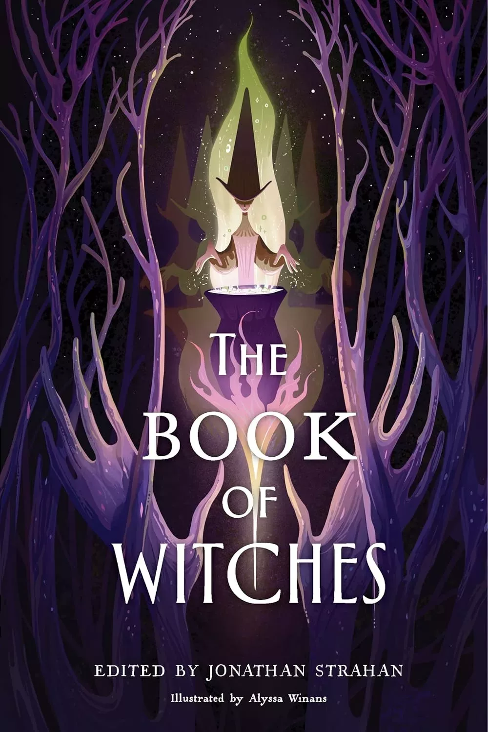 The Book of Witches cover