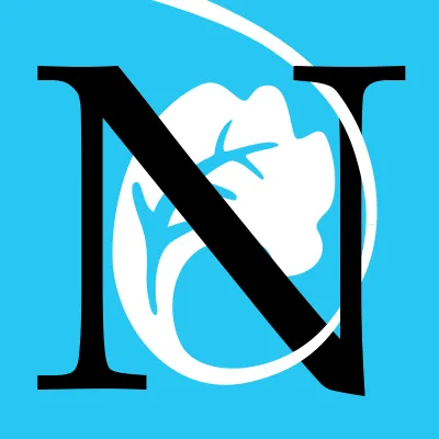 Novelist K-8 logo