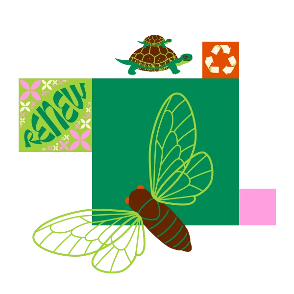 Cicada, recycling symbol, and turtles