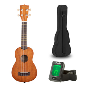 Ukulele contents including case and tuner